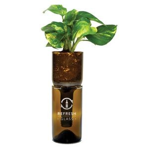 Refresh Self Watering Planter Bottle Kit - Amber (plant not included) - Set